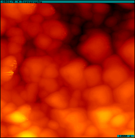 STM of PVD
                  gold film on mica