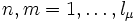 n,m=1,\ldots,l_\mu